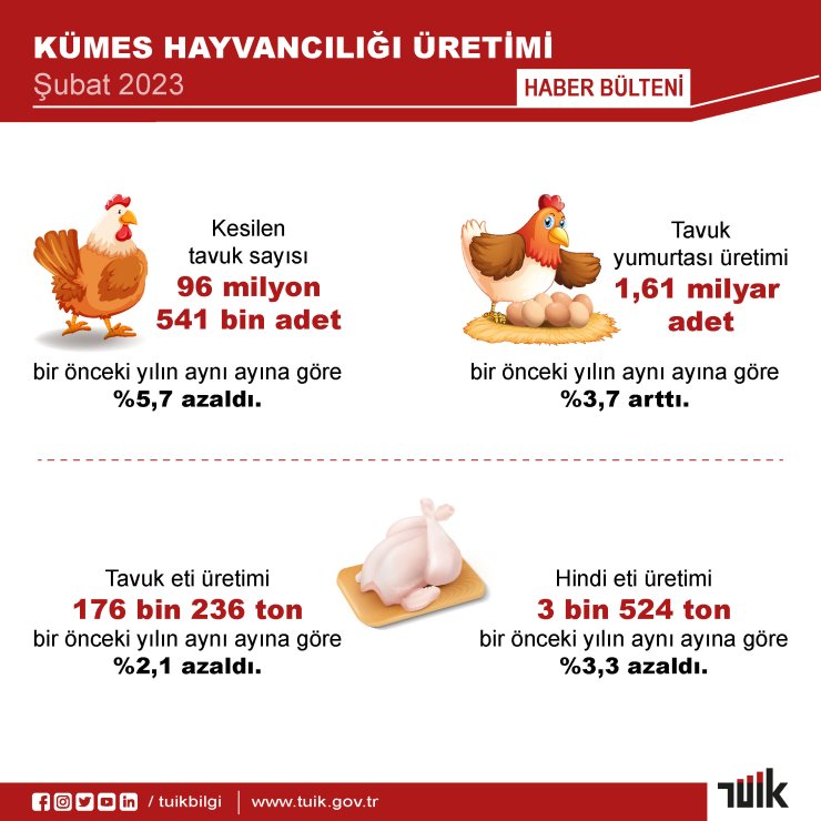 Tüik: Yumurta Üretimi Ve İnek Sütü Miktarı Arttı, Tavuk Eti Üretimi Azaldı